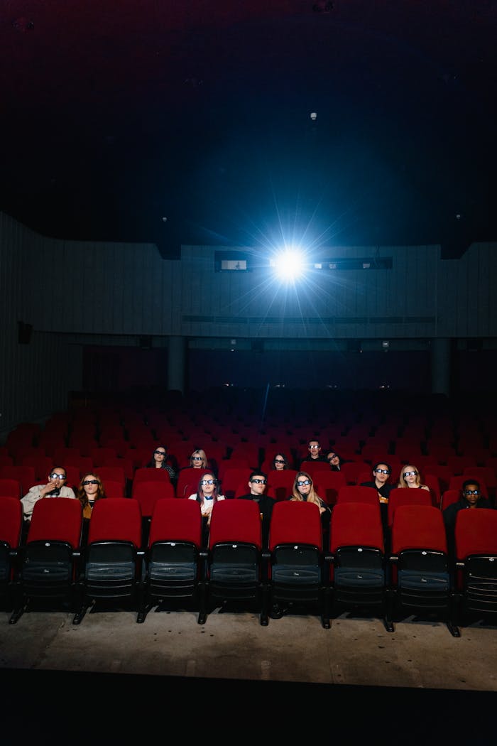 gallery-6 People sitting in a dimly lit movie theater, watching a film with a bright screen.